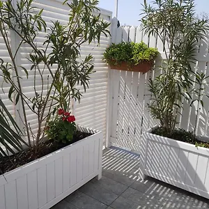 3* Отель Citrus Boutique